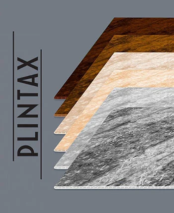 Plintax About Us